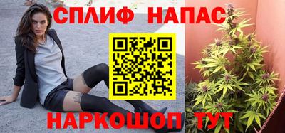 дживик Камышлов