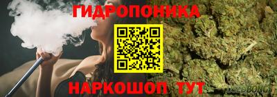 2c-b Канаш