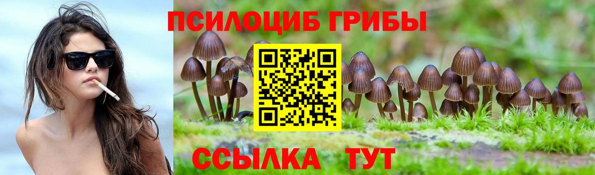 Псилоцибиновые грибы Psilocybe  Псилоцибиновые грибы MAGIC MUSHROOMS  Вход с VPN  Костомукша 