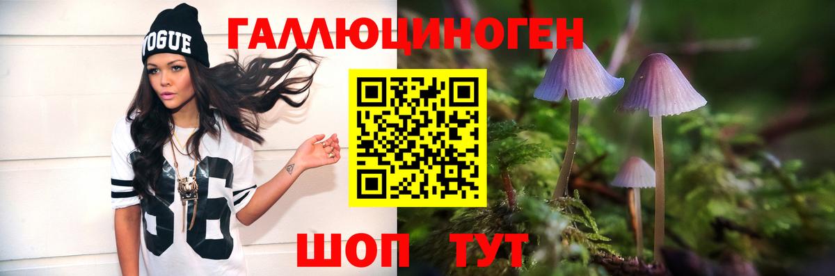 Псилоцибиновые грибы GOLDEN TEACHER Костомукша